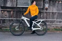 BIANCHI電動アシストシティ車 BIANCHI電動アシストシティ車