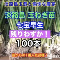 2026年最新】七宝 玉ねぎの人気アイテム - メルカリ