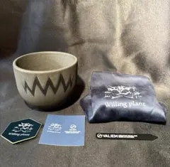 2026年最新】バリエム鉢の人気アイテム - メルカリ