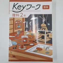 うっちー様 リクエスト 2点 まとめ商品