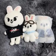 StrayKids スキズ リノ リービット SKZOO