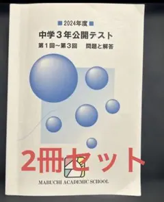 2026年最新】馬渕 公開テスト 中2の人気アイテム - メルカリ