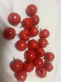 Item thumbnail for item f6da1704-cf16-436c-b33d-da1b28249fa6