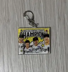 阪神タイガース 優勝記念 シークレットアクリルキーホルダー