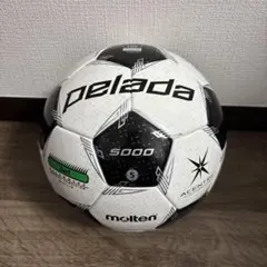 Item thumbnail for item 9645ee0f-7cdc-42fc-ac3e-e0269f201826