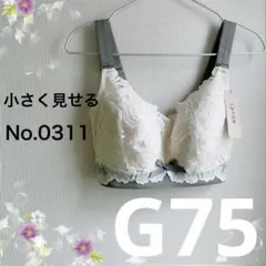 Item thumbnail for item f6a34e3b-860f-4603-bd79-02c317b44153