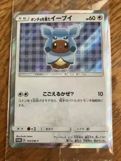 ポンチョを着たイーブイ P ポケモンセンター 「ポンチョを着たイーブイ
