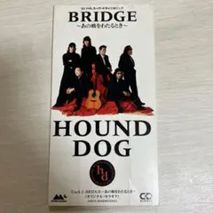 HOUND DOG YUMENOSHIMA 1994 VHS ハウンドドッグ - メルカリ
