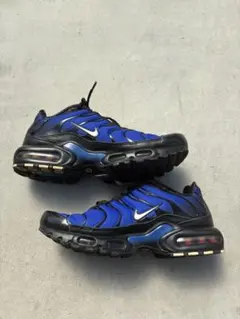 Nike Air Max Plus F スニーカーのサムネイル