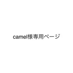 camel様 リクエスト 2点 まとめ商品