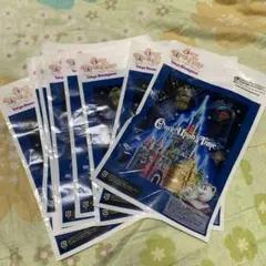 東京ディズニーランド イベント袋10セット