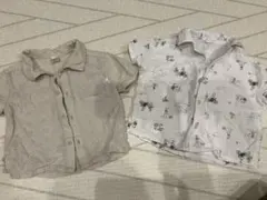 Item thumbnail for item 6ea4020f-c138-4eba-9963-f3729d6fd694