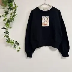 Item thumbnail for item c571e6f5-5a2d-443c-8190-411eb301da3a