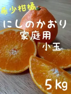 【みっちゃん様専用】65にしのかおり 西の香 みかん 家庭用小玉 ５㎏