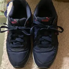 Item thumbnail for item 9a23a08e-d436-4df0-86ed-e31a88eb26ba