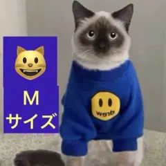 Item thumbnail for item 3cd6b04f-6505-4d3a-9504-74454b8ed0e6