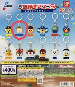 プロ野球マスコット　めじるしアクセサリー DB.スターマン