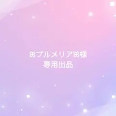 ꕤプルメリアꕤ様専用