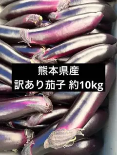 【ファーム】 熊本県産 訳ありなす 箱込み20kg ファーム様専用 訳あり茄子 約20kg - メルカリ