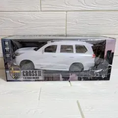 Item thumbnail for item 717a2c8d-c568-439f-8a24-3bd34d978fbc