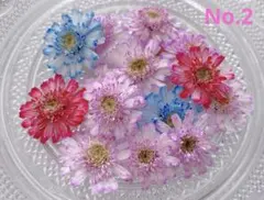 のんのん様ʕ•ᴥ•ʔ♡リクエスト 3点 まとめ商品