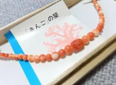 Item thumbnail for item 7394eefb-8125-4377-a311-a2891e125496