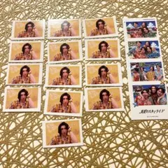 ニシコリ まとめ売り - メルカリ