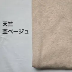 Ａ-15■天竺ニット生地　杢ベージュ　1.5m