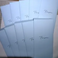 (105)ポチ袋(10枚)お札を折らずに入る封筒カラーペーパー(薄ブルー)