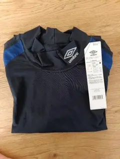 Item thumbnail for item 1f12a173-90a9-4123-922b-21e9f53ea2b1