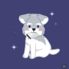 Week2 イリオ ⑧ ⑥ jbs様 リクエスト 2点 まとめ商品