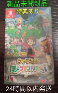 Nintendo Switch 牧場物語 風のグランドバザール 特典付き