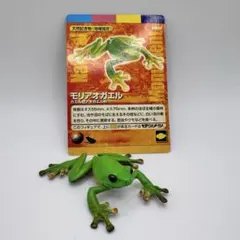 Item thumbnail for item d83cc875-9496-4f13-82da-a5ae3deaa58d