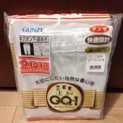 新品 グンゼ 快適設計 GQ-1 半ズボン下 2枚組 L 大きいサイズ