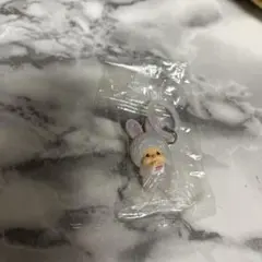 モンチッチ　チムたん　めじるしアクセサリー