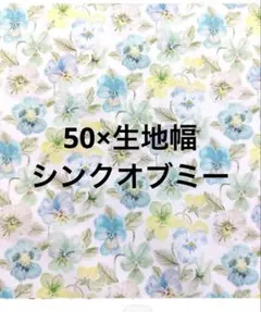 Item thumbnail for item de5b85ab-6a87-45e2-93c3-d4377e1f6f3e