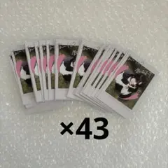 &TEAM タキBacktoLife インスタントフォト