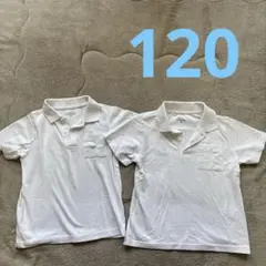 西松屋　半袖ポロシャツ　120 2枚セット