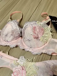 k*a様 【新品タグ付き】ワコール Salute ピンク ブラC65