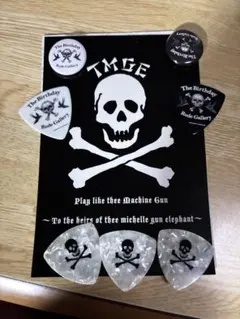 2026年最新】THEE MICHELLE GUN ELEPHANT ピックの人気アイテム - メルカリ