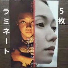 櫻井海音 大判ポスター 2026年最新】櫻井海音 ポスターの人気アイテム - メルカリ