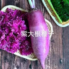 Rakia様 リクエスト 2点 まとめ商品