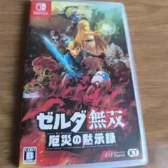 ゼルダ無双 厄災の黙示録