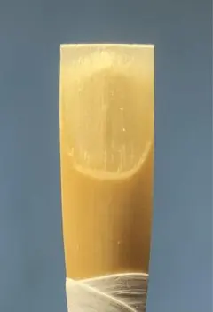 Item thumbnail for item 132156b0-a21a-4ff9-a31d-b33857848e42