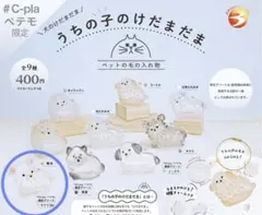 うちのけだまだま 犬のけだまだま チワワ 白