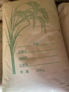 限定1セット うるち米 30kg 玄米 令和7年茨城産 30kg袋 お米 最安値