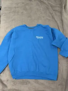 GILDAN Aliante ロゴ入り 青 Lサイズ トレーナー