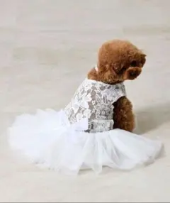 Item thumbnail for item e669bb86-acb9-4174-86fd-96bbf2aa3258