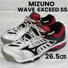 Item thumbnail for item 18cb4ce6-c10c-4465-999b-d1d25a4f238b