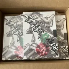 【リューマプロモ付き】MONSTERS 一百三情飛龍侍極　公式ガイドDVDBOX